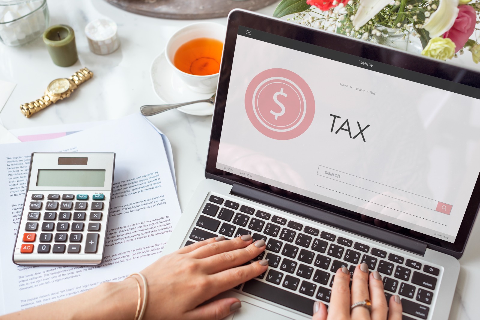 Business Setup & Licensing